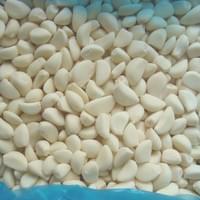 Bulk IQF Frozen Garlic Cloves