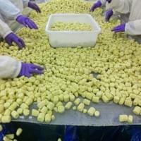 IQF frozen baby corn