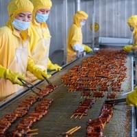 Frozen Broiled Eel Supplier