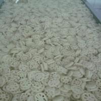 IQF Frozen Sliced Lotus Root 