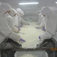 IQF Onion Production Line