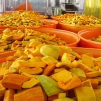 IQF Frozen Pumpkin Processing