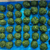 Frozen Spinach Balls Factory