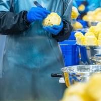 IQF Frozen Pineapple Factory