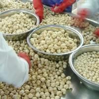 IQF Champignon Mushrooms