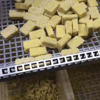 BQF Frozen Ginger Puree