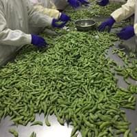 Frozen Green Soybeans Supplier