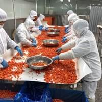IQF Diced Red Capsicums