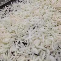 IQF Frozen Onion Production