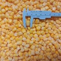 QC for IQF Frozen Sweet Corn