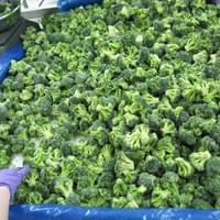 Frozen Broccoli Factory