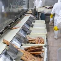 Frozen Prepared Eel Factory