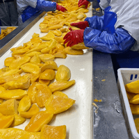 IQF Mango Production Line