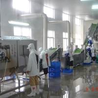 IQF Okra Production Line
