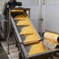Frozen Sweet Corn Kernels  