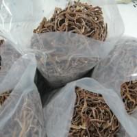 IQF Black Fungus Supplier