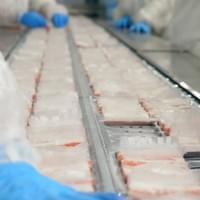 Imitation Crab Sticks Supplier