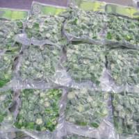 IQF Frozen Okra Supplier