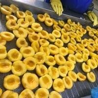 IQF Frozen Yellow Peaches