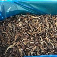Bulk IQF Frozen Black Fungus