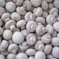 IQF Frozen Shiitake Mushrooms, Champignon, Nameko, Mixed Mushrooms, Cantharellus Cibarius, Black Fungus Supplier