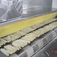 Frozen White Asparagus Factory