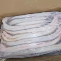 Bulk Frozen Eel