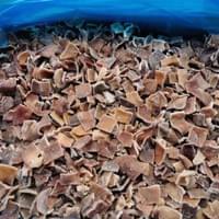 Frozen Black Fungus Cuts