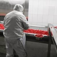 Frozen Diced Strawberries