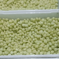 IQF Peeled Grape Supplier