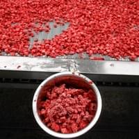 Frozen Diced Strawberries