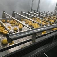 IQF Yellow Peach Supplier