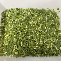 IQF Frozen Scallion 