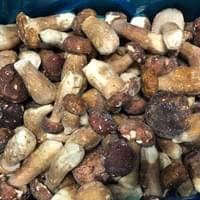 Frozen Boletus Edulis Supplier