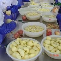 IQF Apple Production Line