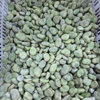  Bulk IQF Frozen Broad Beans 