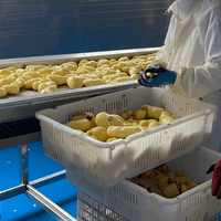Frozen Potato Production Line