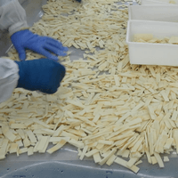 IQF Bamboo Shoot Processing