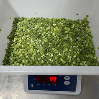 IQF Frozen Scallion 