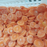 IQF Carrots Processing Plant