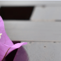 盟｜AI雲端追思