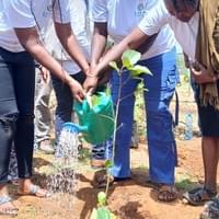 INTERNATIONAL DAY OF FOREST 