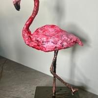 Flamand Rose : 250 euros