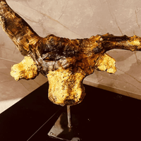 Esprit de la Camargue-Prix450€