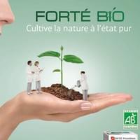 Mannequin Mains Pharmaceutique