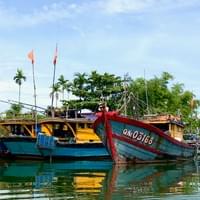 Large fishing boats