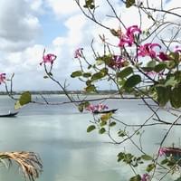 At the Thu Bon river.