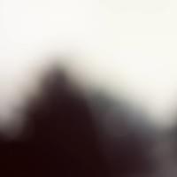 broken image