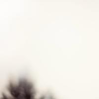 broken image
