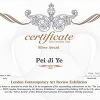 “迷失的视界”2025伦敦当代艺术展银奖 英国